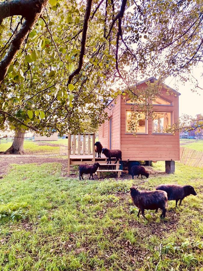 Gites De L'Etang Des Noues Cholet Exterior foto