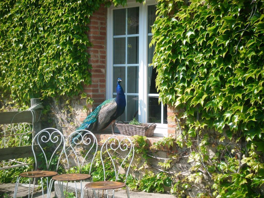 Gites De L'Etang Des Noues Cholet Exterior foto